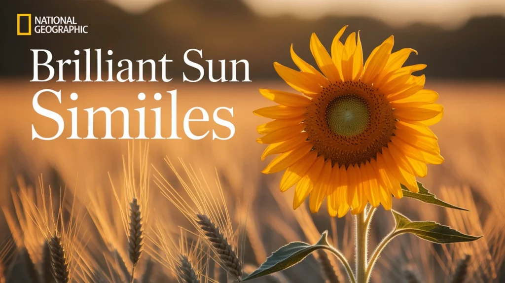 Brilliant Sun Similes