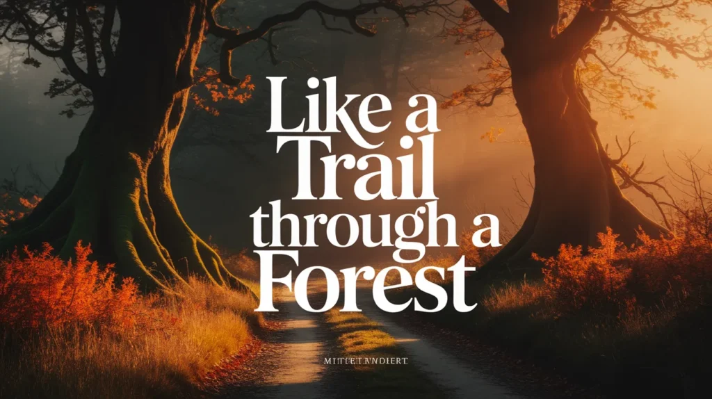 Like a Trail Through a Forest