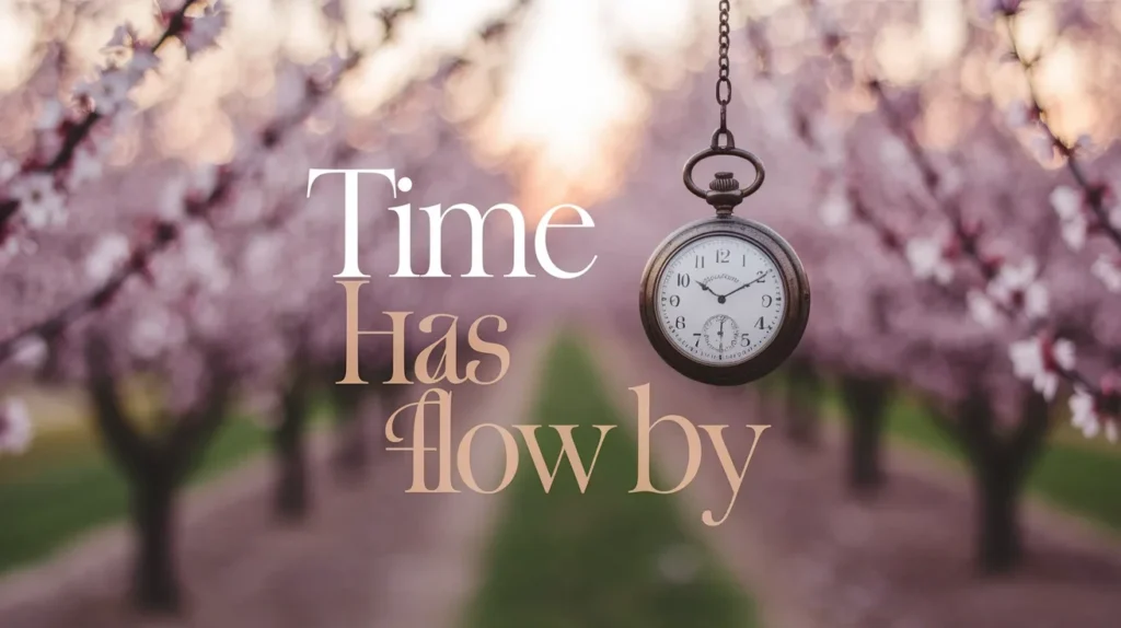 Time has flew by or time has flown by