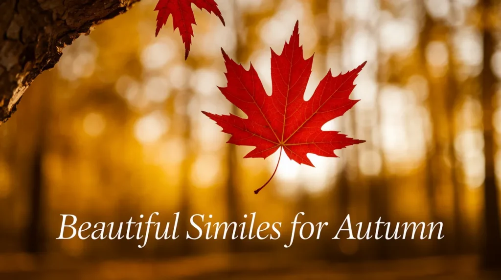 Beautiful Similes for Autumn