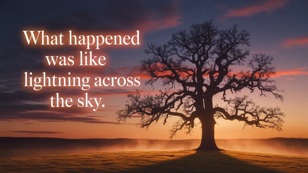 What Happened Was Like Lightning Across the Sky