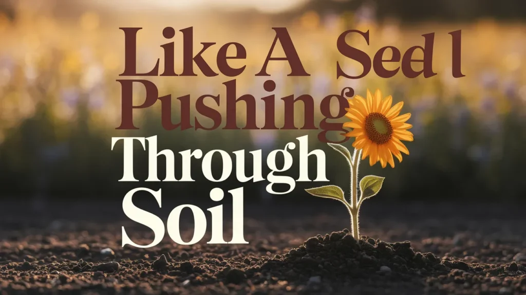 Like a seed pushing through soil