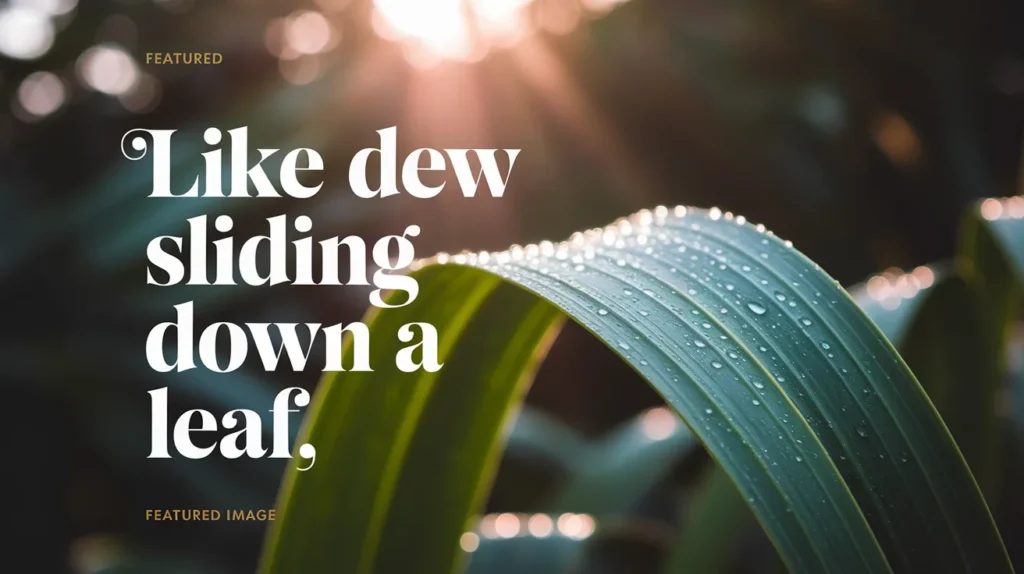 Like dew sliding down a leaf