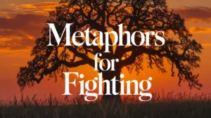 Metaphors for Fighting