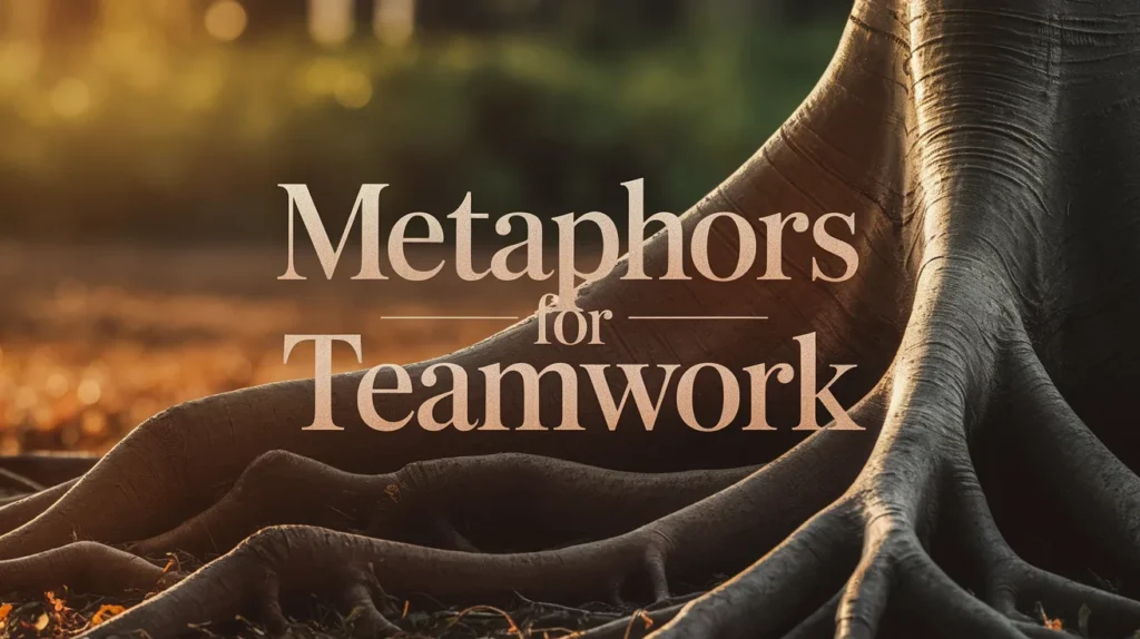 Metaphors for Teamwork