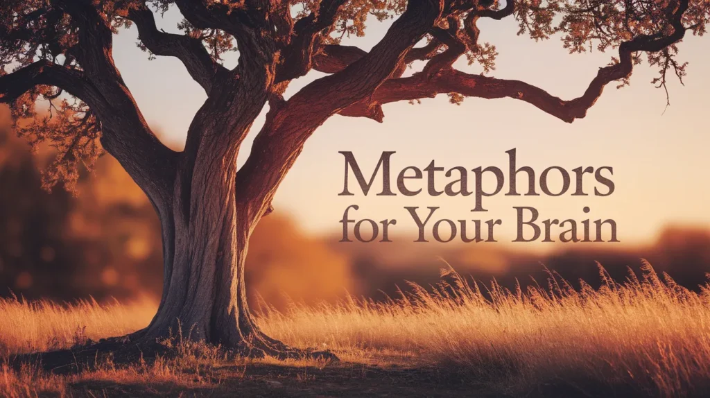 Metaphors for Your Brain