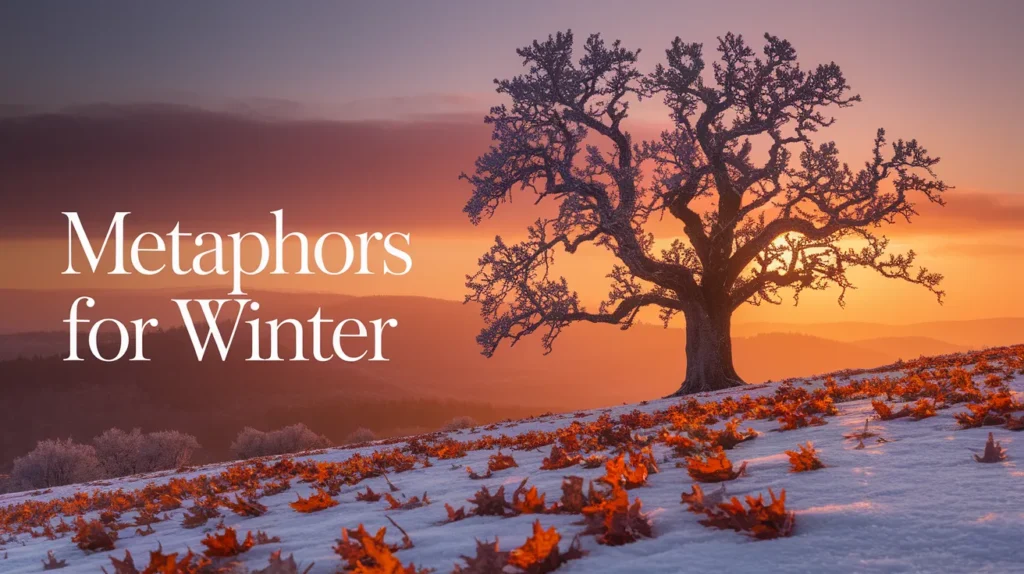 Metaphors for Winter
