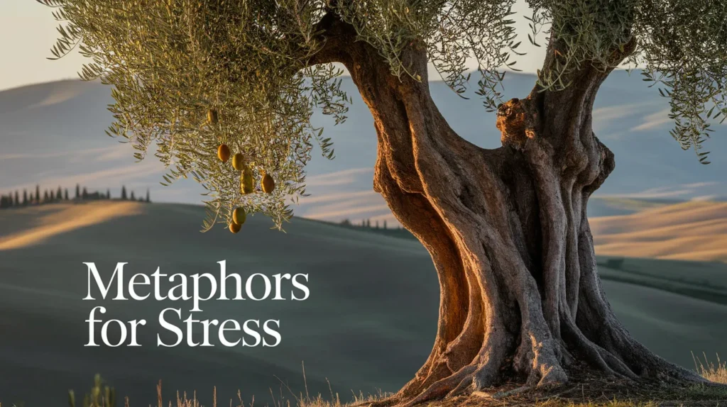 Metaphors for Stress