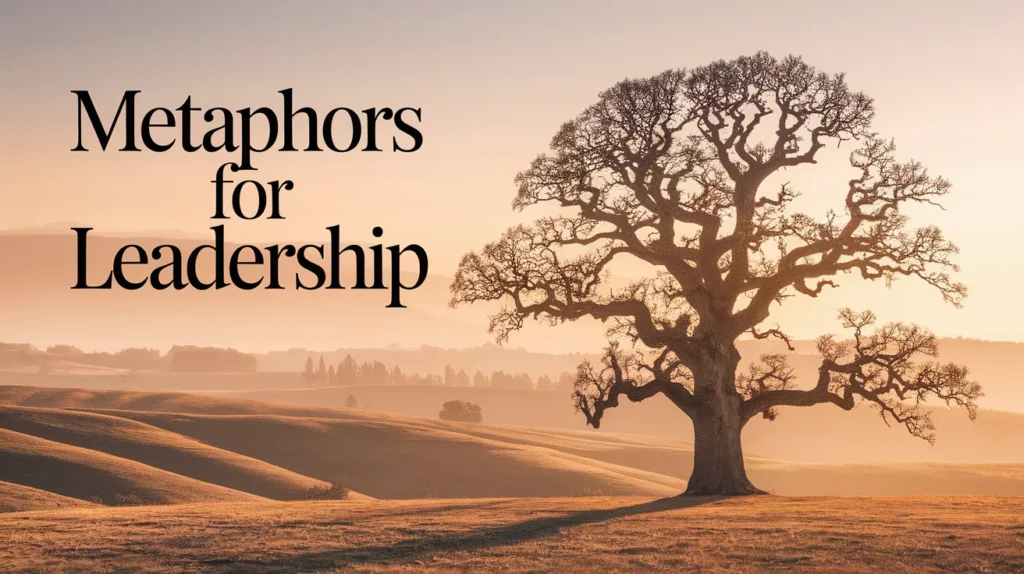 Metaphors for Leadership