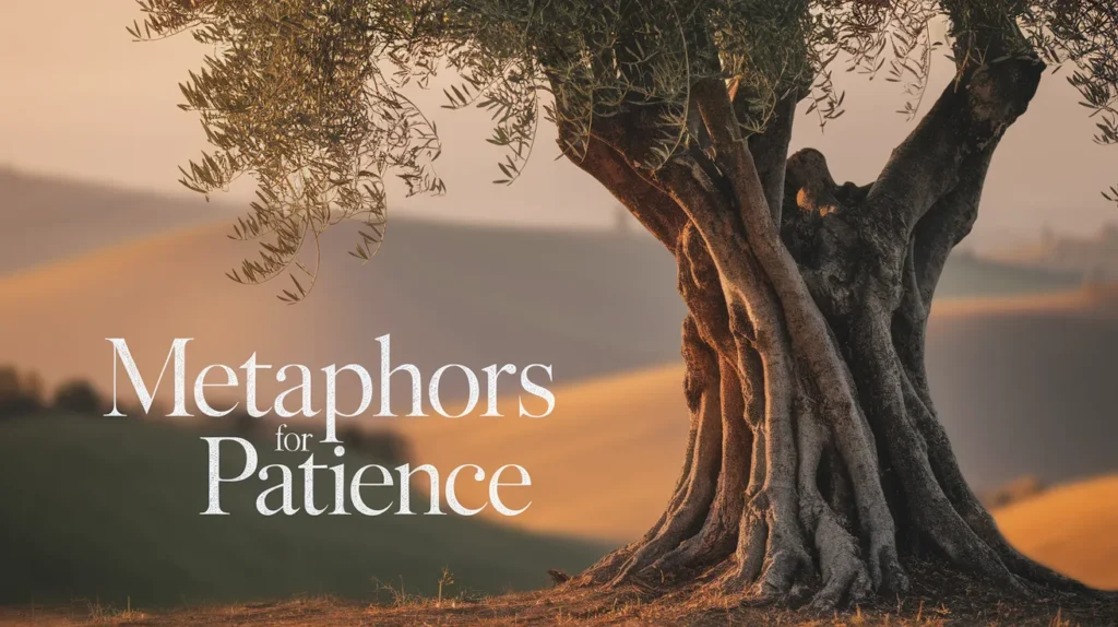 Metaphors for Patience