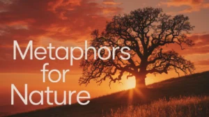 Metaphors for Nature