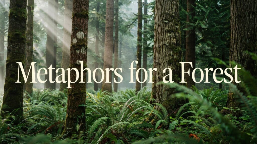 Metaphors for a Forest