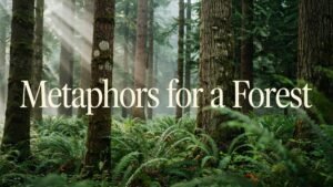 Metaphors for a Forest