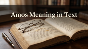 Amos Meaning in Text